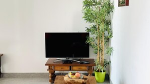 A living room with a flat-screen TV on a wooden stand, a green potted bamboo plant, and a wooden table with a fruit bowl.