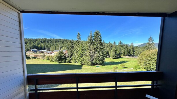 A balcony with a view of a forest and a lake, wooden chairs, and a metal railing.