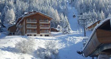 Comfort for 6/8 pers, near gondola, terrace