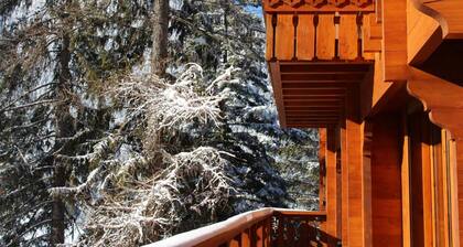 Exklusives Chalet: 5 Zimmer, 14 Pers, nah Pisten, WiFi, Kamin