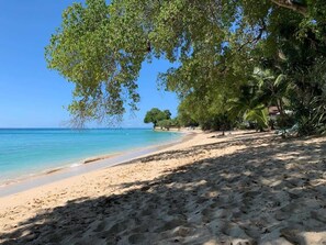 Une plage avec une eau claire, un rivage sablonneux et des arbres.