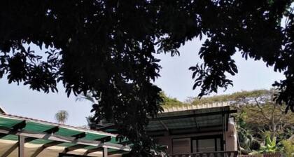 Spacious 3-Bedroom Apartment