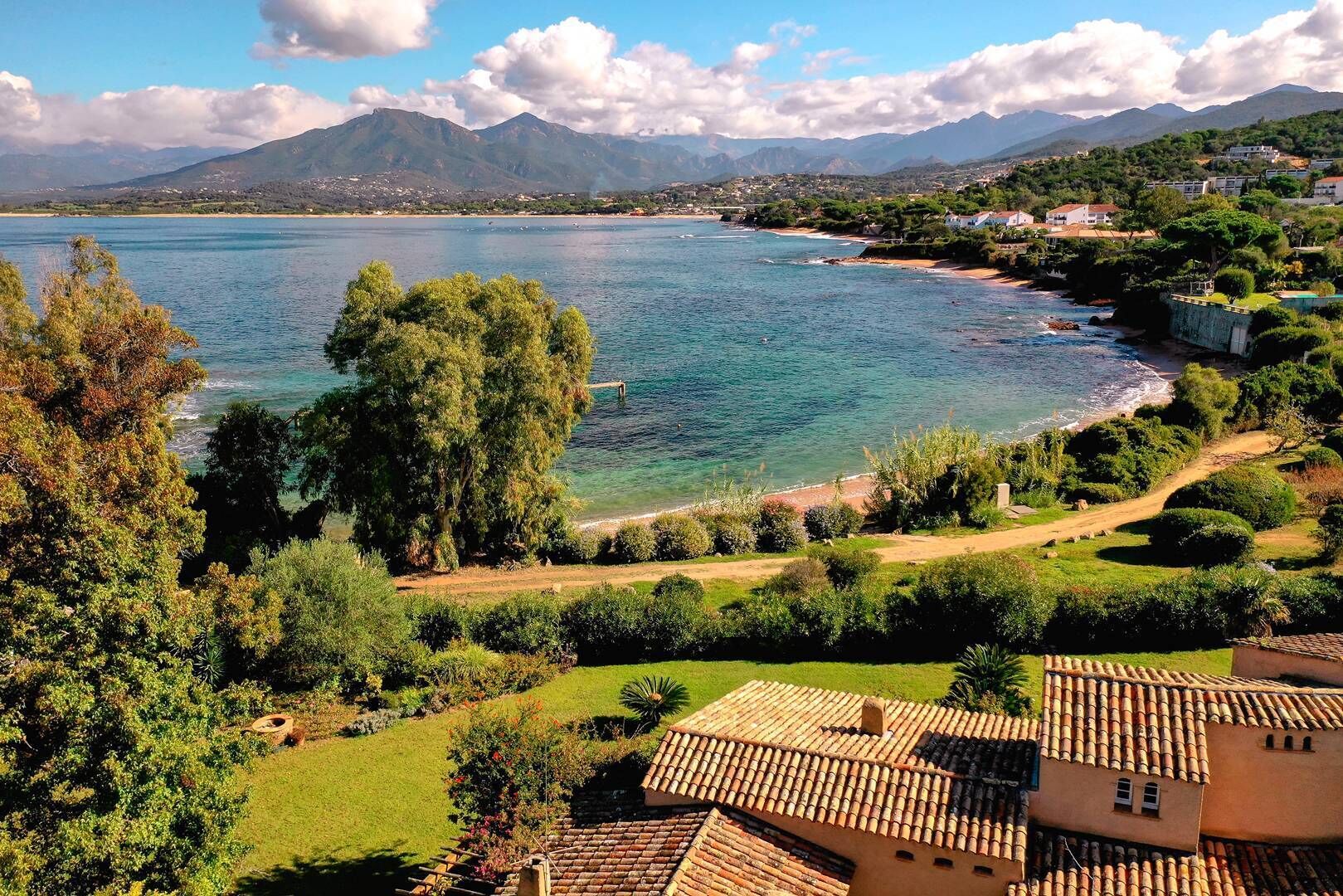 Un paisaje costero con una vista despejada del mar, un árbol grande y un edificio con tejado de tejas.