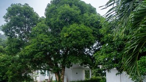 A serene riverside setting with lush greenery, a white building, and a clear sky. - Navagio Boutique Koh Chang (Ko Chang)