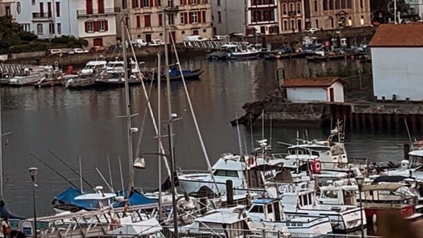 Un puerto con barcos y edificios al fondo.