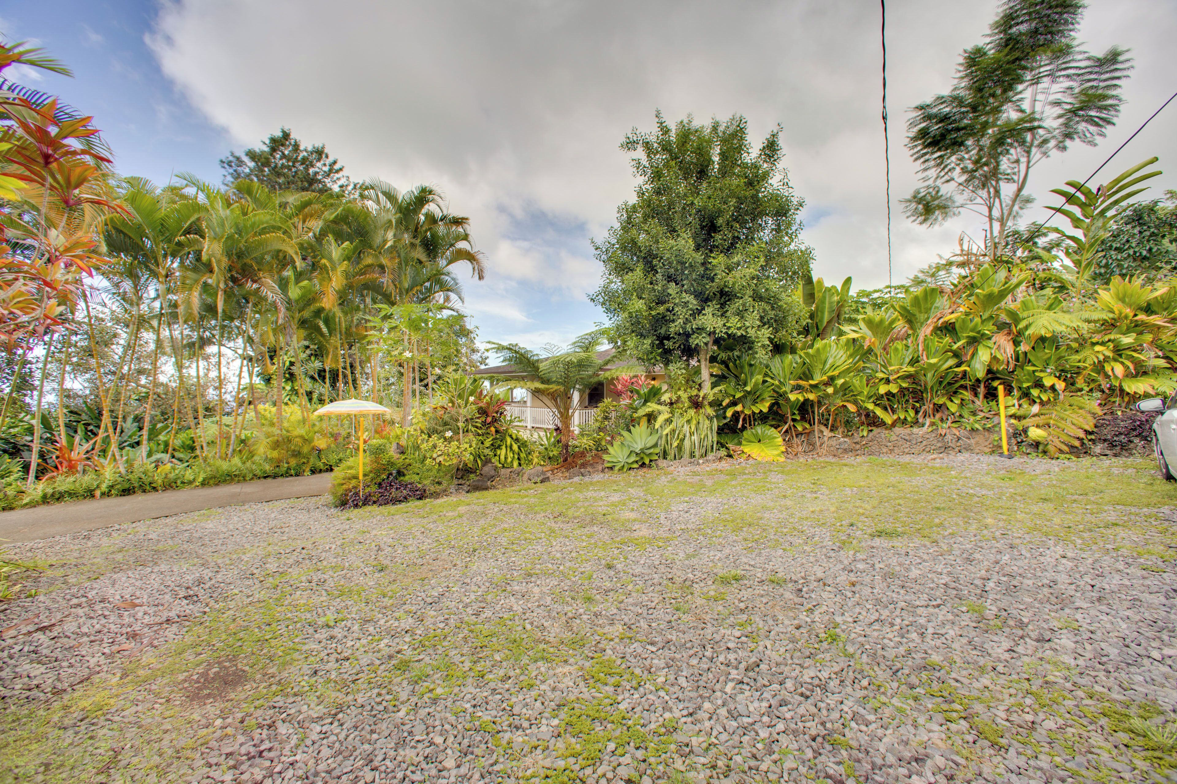 A garden with a gravel path, various tropical plants, and a white umbrella.