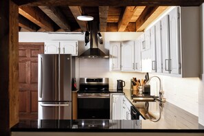 Fridge, microwave, oven, stovetop - earthship forest exile (Temple)