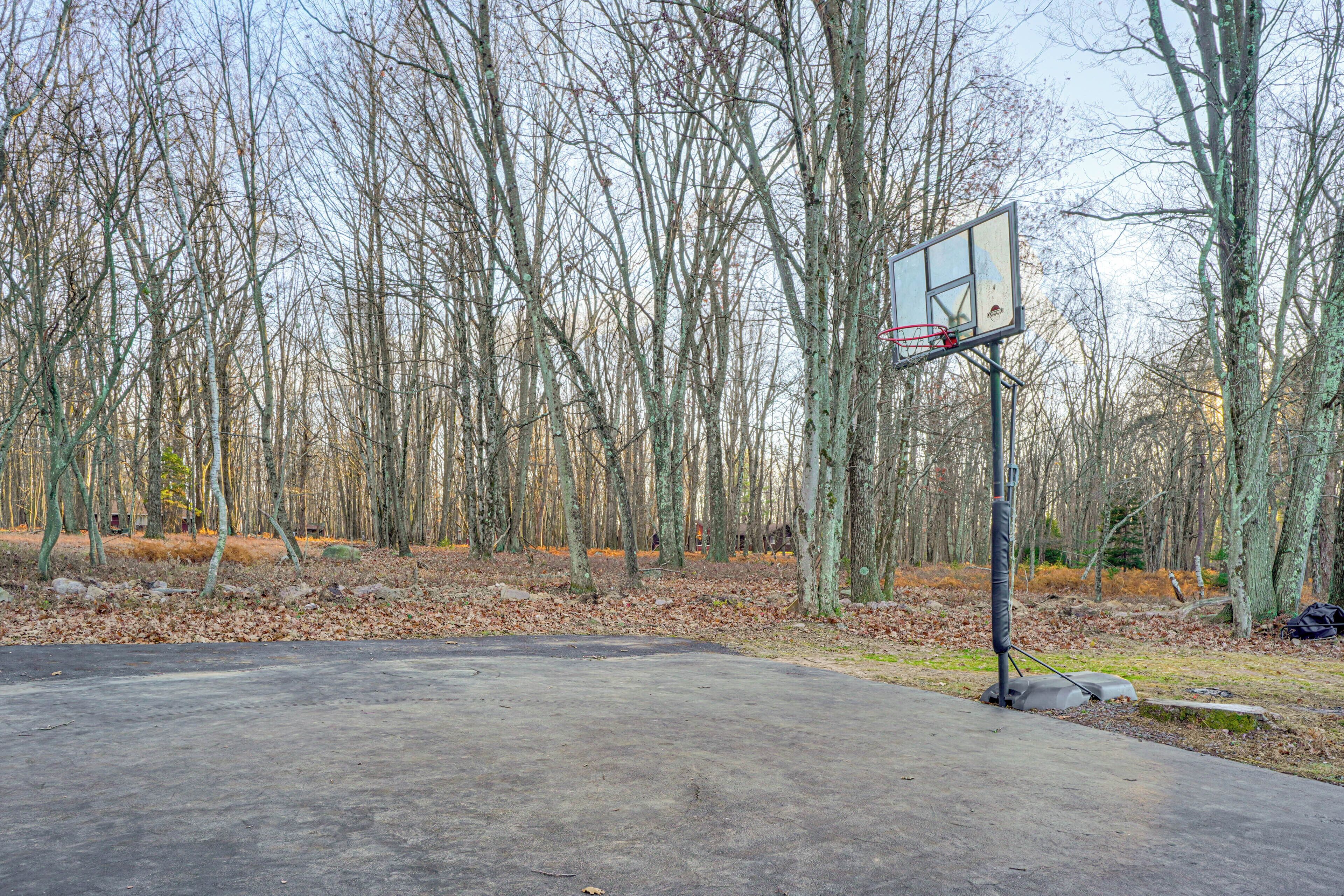 Un terrain de basket en plein air, doté d’un panier, entouré d’arbres et recouvert d’une surface en béton.