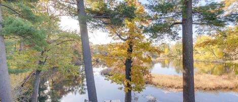 House (4 Bedrooms) | Miscellaneous