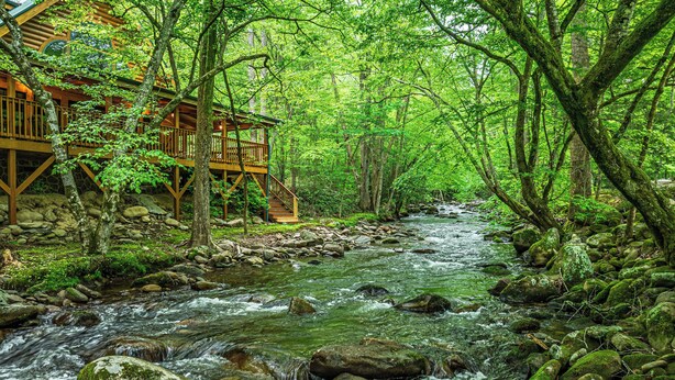 A wooden cabin with a deck overlooking a flowing river in a forest. - Beautiful Three Bedroom Cabin Directly On Cosby Creek (Cosby)