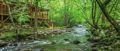 المنطقة المحيطة بالمنشأة