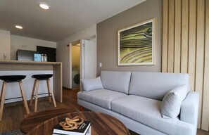 公寓, 无障碍 | 1 多间卧室、高速上网