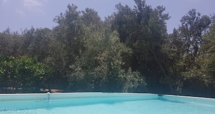 Bingemma Paradise Farmhouse in the heart of Nature