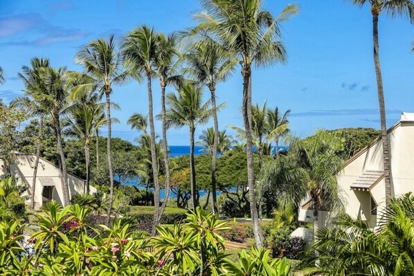 Apartment, 1 Schlafzimmer | Unterkunftsgelände