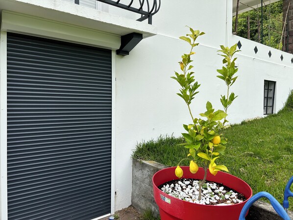 DĂ©tail de lâextĂ©rieur