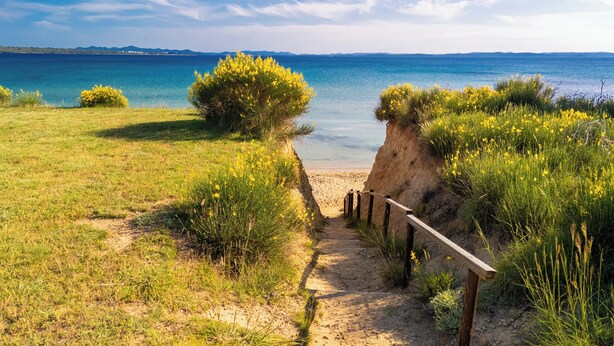 Een kustpad dat naar een strand leidt, met een houten hek en grasvelden.