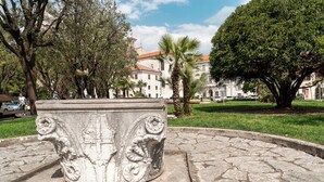 A stone fountain with intricate carvings in a park with trees and buildings in the background. - Apartment del Bello (Koper)