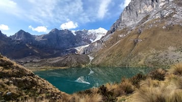 Recepción