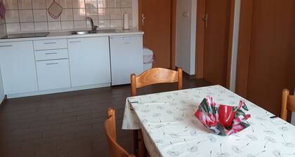 Apartmani Igor