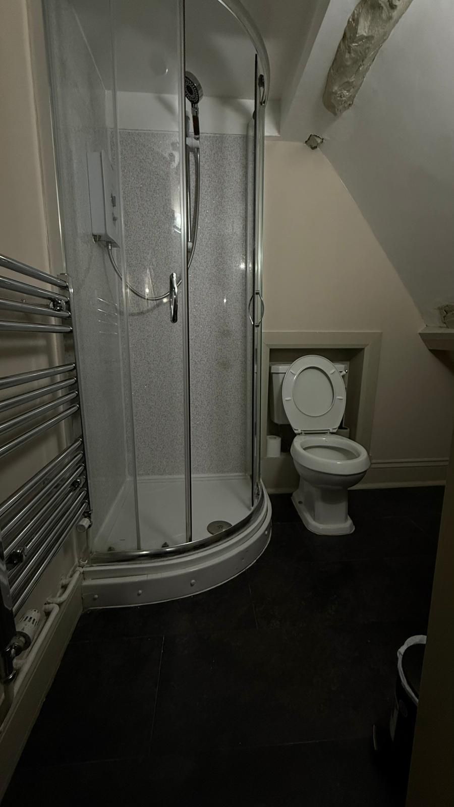 Un baño con ducha envuelta en vidrio, inodoro y toallero de metal.
