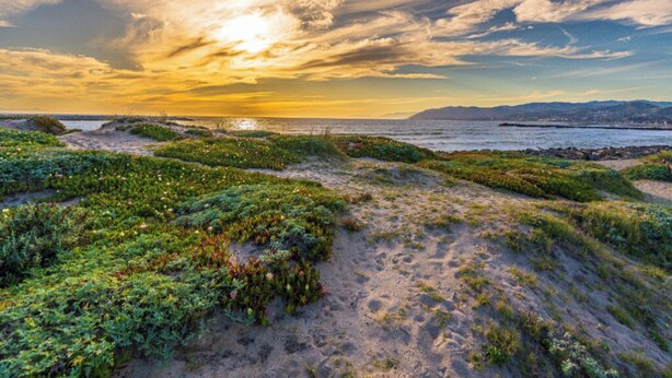 A coastal landscape with a path leading to the sea, surrounded by greenery and a sunset in the background. - 25% Off Sept 24-27 Amazing Reviews, Walk To Beach* (Ventura)