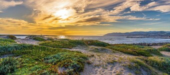 20% Off April Amazing Reviews Walk 2 Beach & Shops