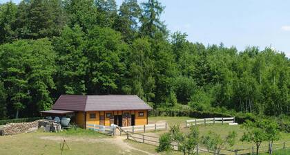 Apartment for two Only 20 m From Boruja Lake in Rekowo