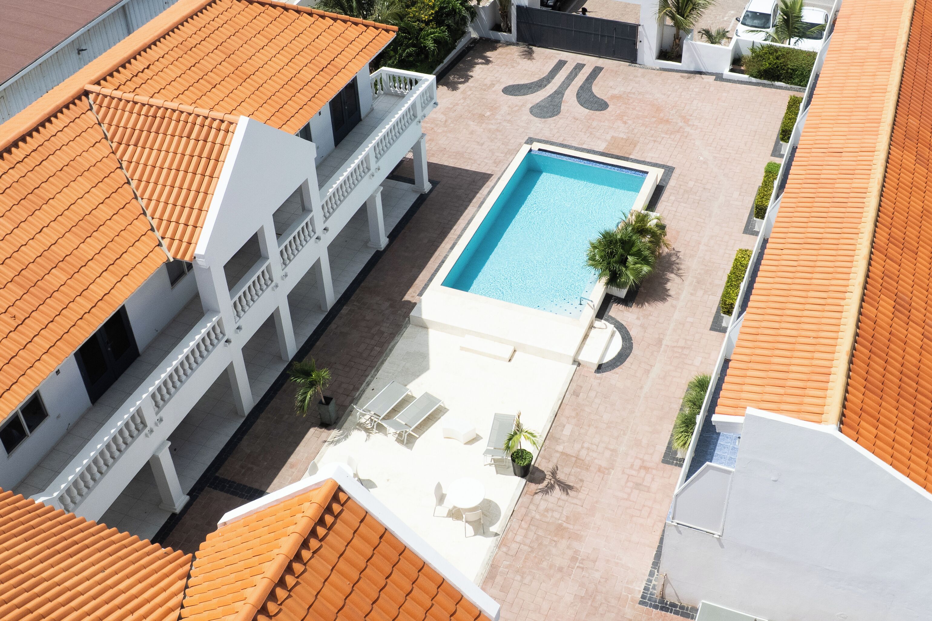 Uma piscina no terraço com um prédio branco, um terraço coberto e uma palmeira.