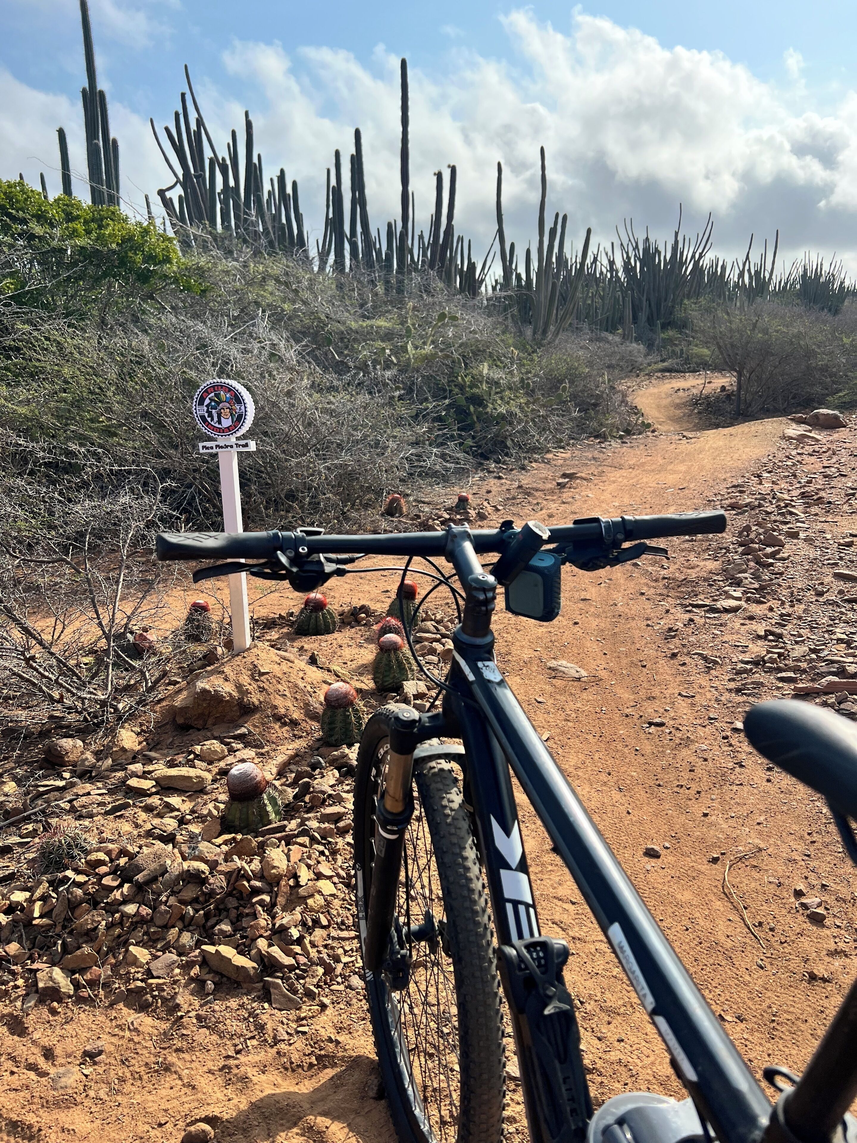 Una bicicleta de montaña aparcada en un sendero de tierra con un letrero que indica el sendero Pico Padre.