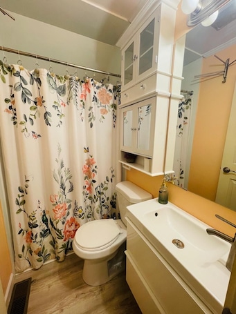 Shower, towels, soap, toilet paper. Charming 1-bedroom apartment in Carmel with WiFi, AC
