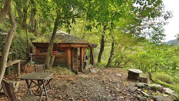 Escape to a secluded cabin surrounded by lush forest, where a simple design and natural atmosphere invite relaxation.