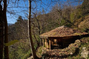 A rustic wooden cabin with a glass enclosure, surrounded by trees and a rocky hillside. - Little cabin in the woods (Malons-et-Elze)