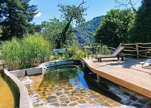 Property grounds - Little cabin in the woods (Malons-et-Elze)