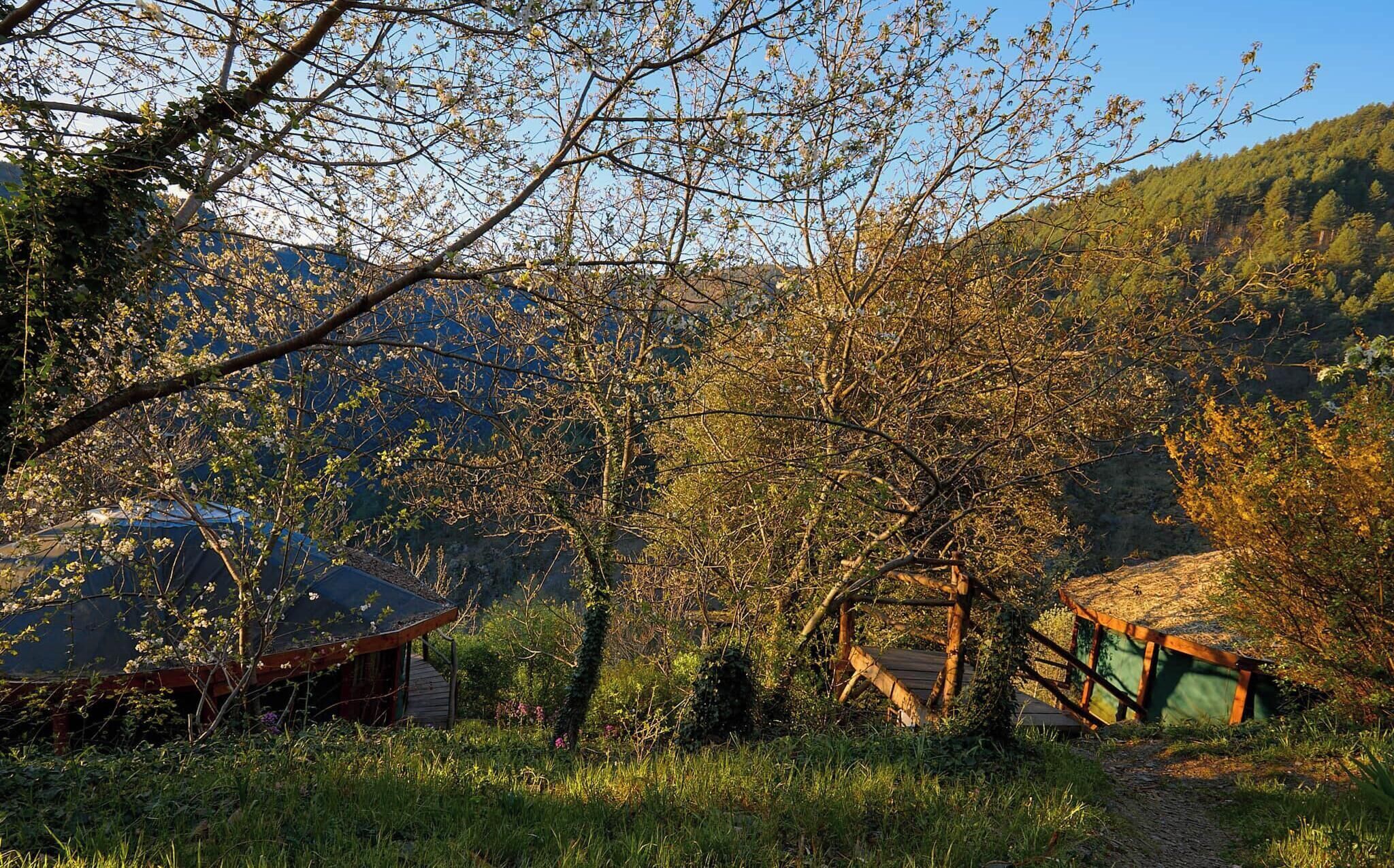 Un chalet rustique doté d’une terrasse en bois et d’un petit jardin.