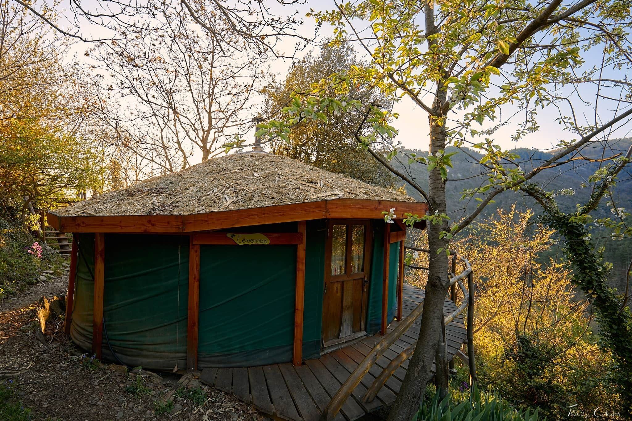 Yurt