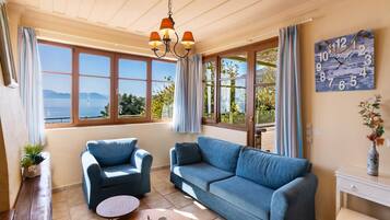 Televisie, een open haard en een dvd-speler