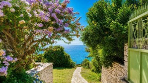 A stone pathway leading to a scenic view of the sea, surrounded by lush greenery and flowering plants. - Villa Votsalo - Three Bedroom Villa, Sleeps 6 (Lefkada)