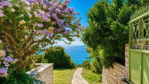 A stone pathway leading to a view of the sea, flanked by lush greenery and flowering plants. - Villa Anemus - Three Bedroom Villa, Sleeps 6 (Lefkada)