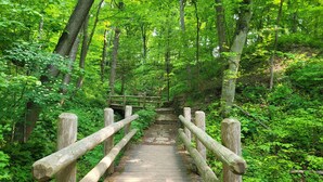Ein Holzweg führt durch einen Wald, mit einer Holzbrücke über einem kleinen Bach.