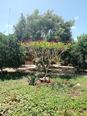 Jardines del alojamiento