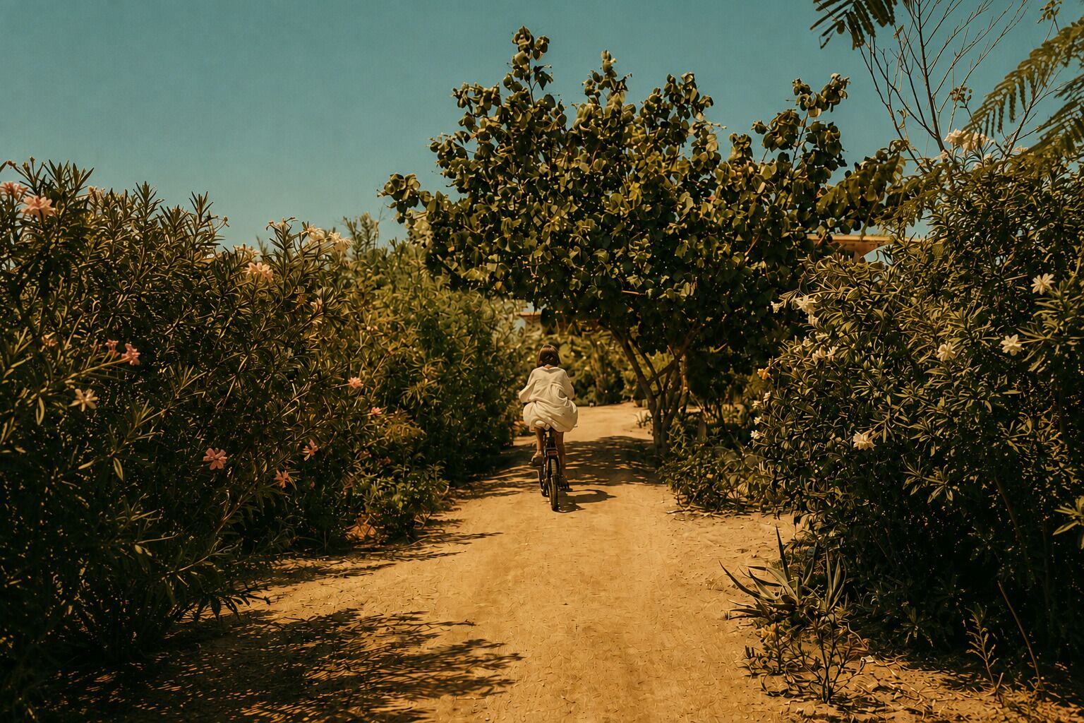 Bicycling
