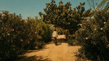 Bicycling