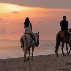 Horseback riding
