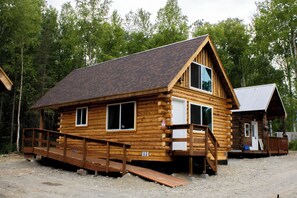 Exterior - Cute Cabin Near Hatcher Pass (Wasilla)