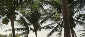 Brisa Mar Chalet on the Sand in Barra do Jacuípe with private pool