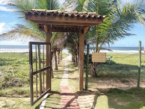 A pathway leading to a beach with a wooden pergola and palm trees.