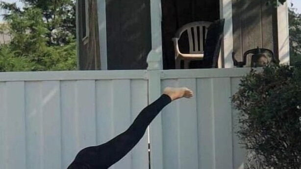 A person performing a yoga pose by a pool with a cat nearby.