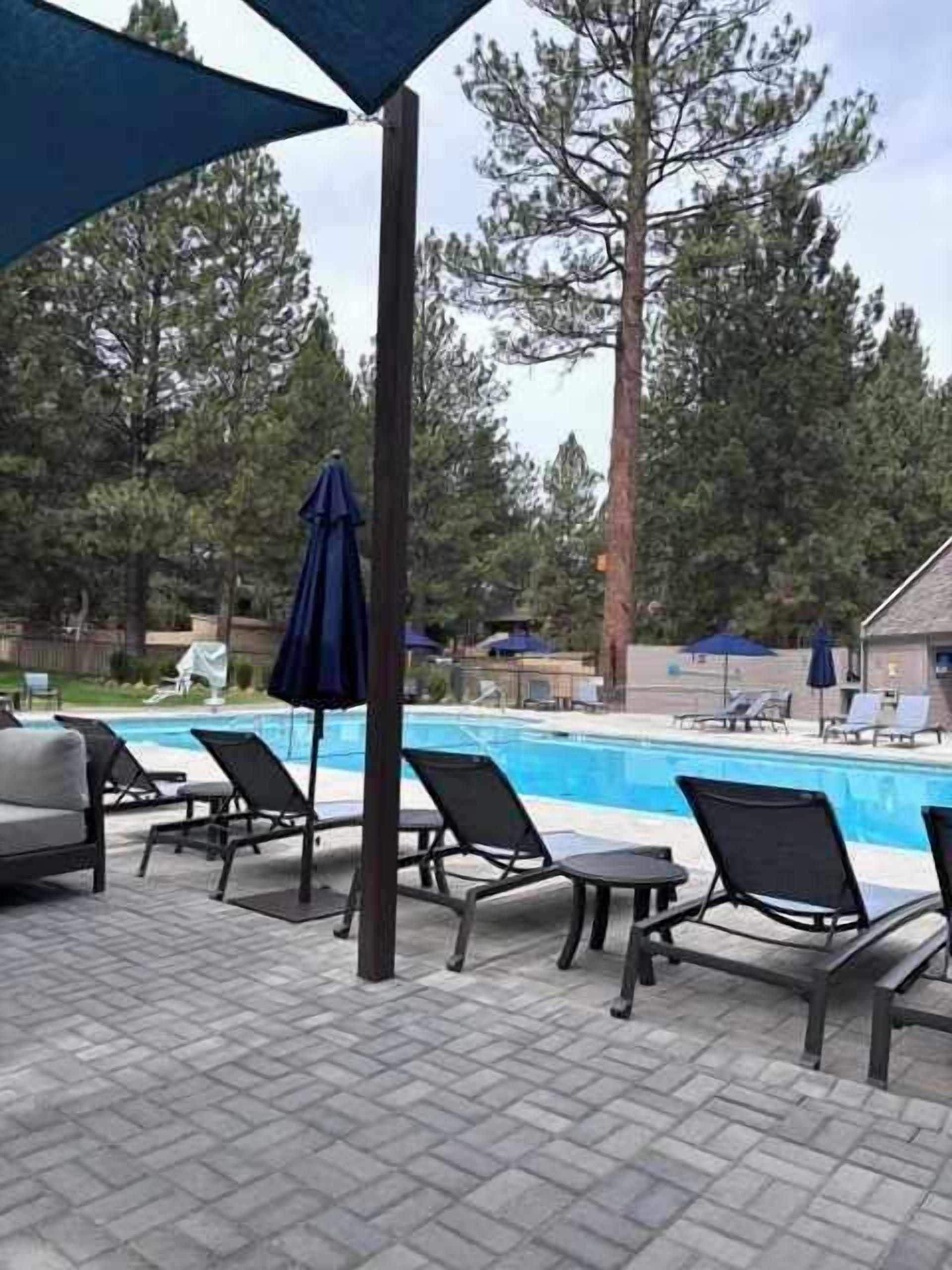 A poolside area with lounge chairs and umbrellas, a clear blue pool, and surrounding trees.