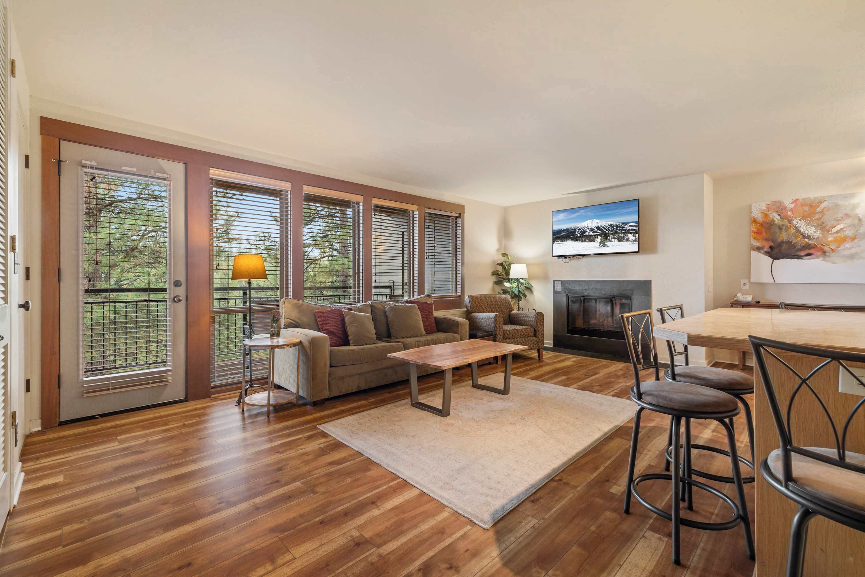 TV, fireplace, DVD player, books