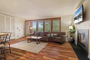 TV, fireplace, DVD player, books